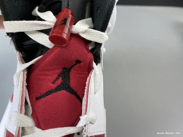 384664-160 6 JORDAN 2014 'CARMINE' RETRO AIR 0824